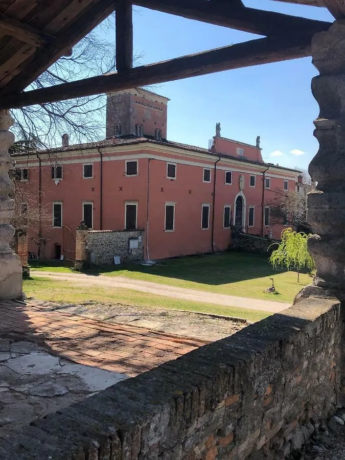 Palazzo Di Monteoliveto location