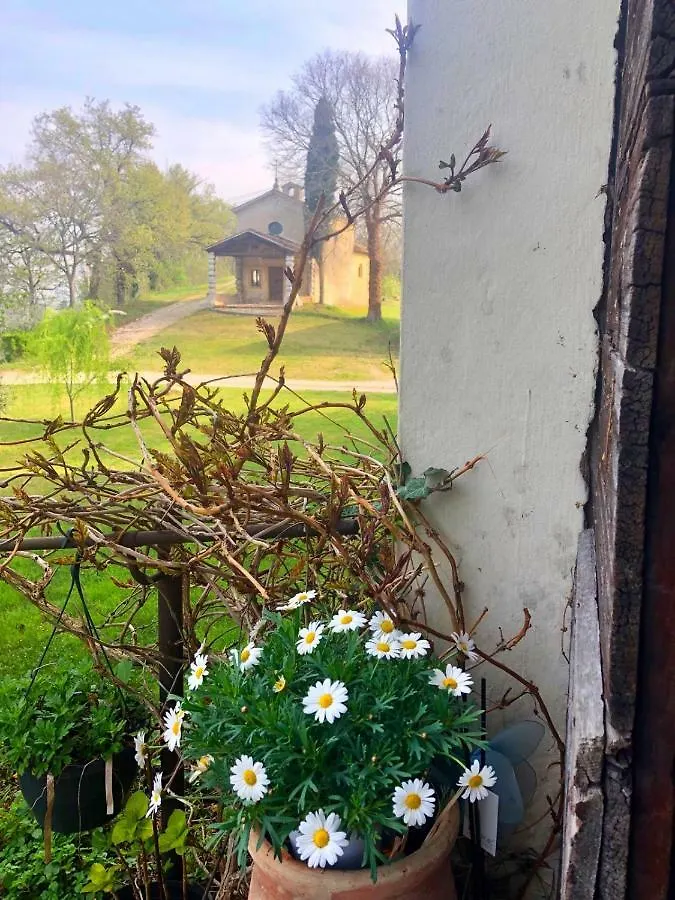 Farm stay Palazzo Di Monteoliveto Villa Monzambano