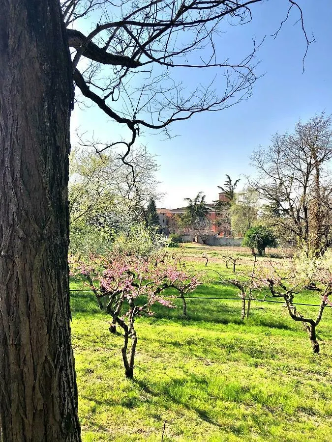 Palazzo Di Monteoliveto Villa Monzambano 0*,  Italy