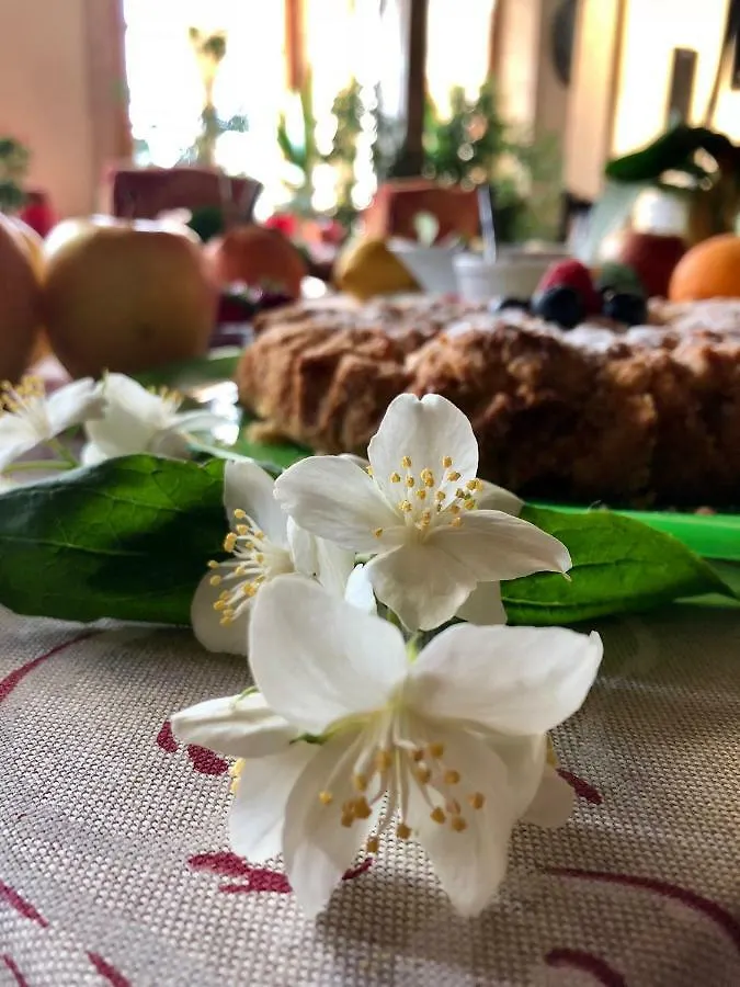 Palazzo Di Monteoliveto Villa Monzambano Farm stay