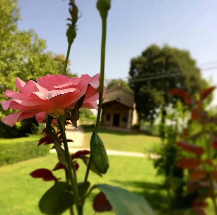Farm stay Palazzo Di Monteoliveto Villa Monzambano Italy